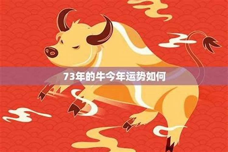 腊月属牛什么命？