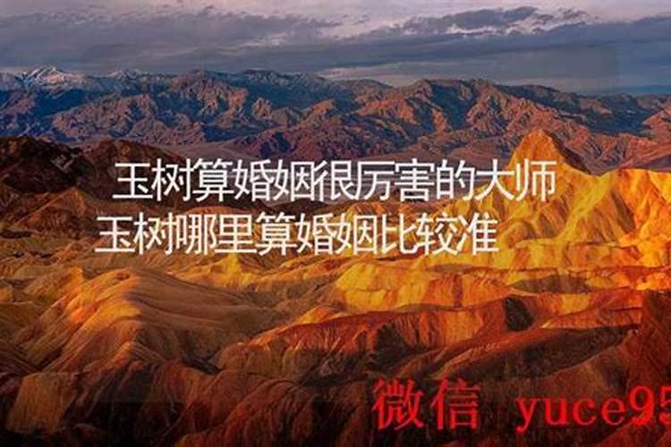 玉树哪里有算命比较准的大师？