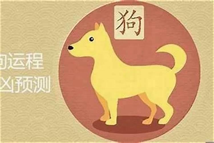 2026年属狗的1月运势如何？