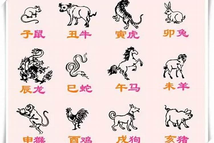 起房子是什么生肖？