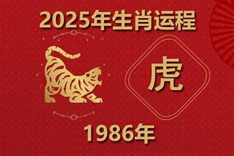 1986甲属虎2026年运程如何？