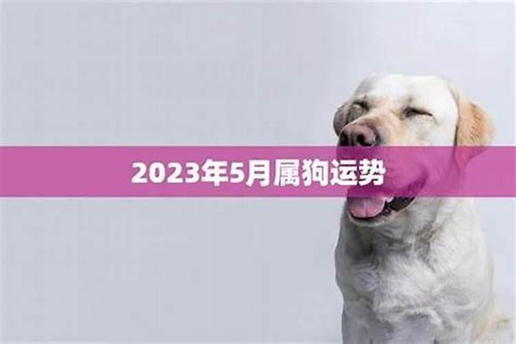 属狗人今年阴历5月运势