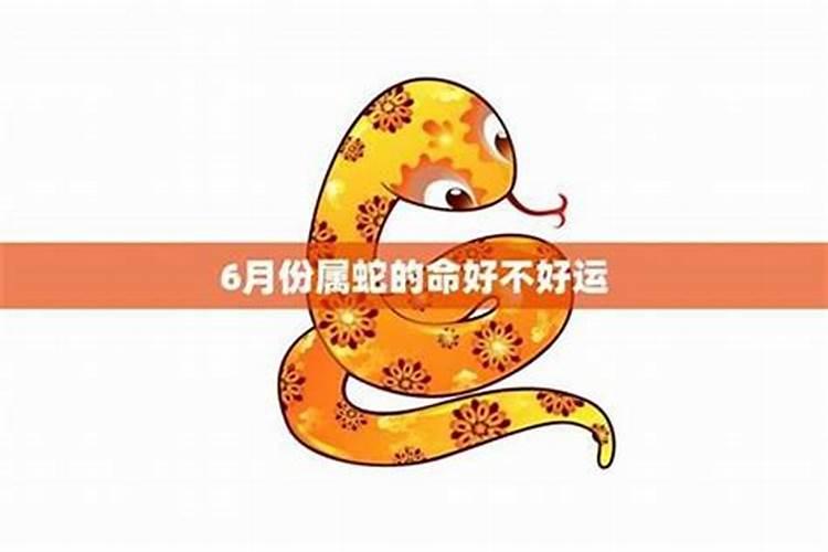 2026属蛇的6月份运势如何？