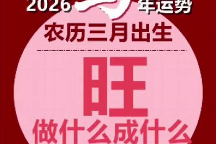 78年三月马2026年运势