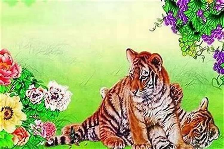 属虎的37岁本命年运气怎么样？