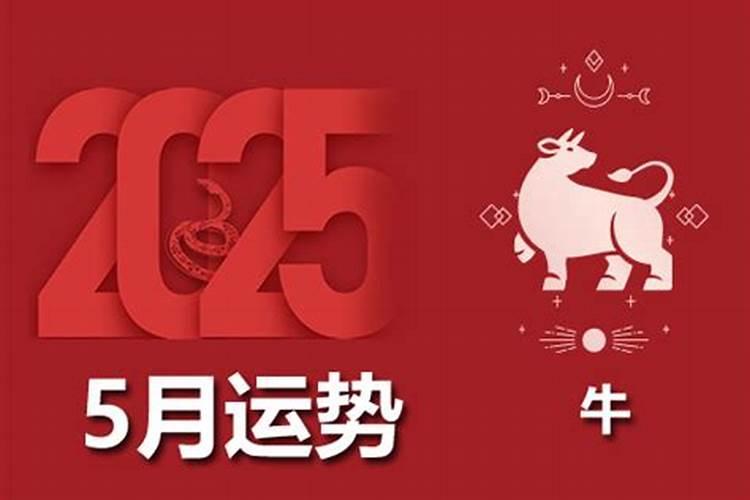 属牛2026年运势及老黄历运程