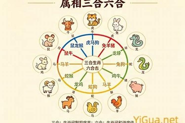 鼠和哪些属相合婚？