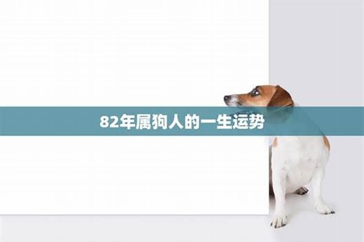 82年狗一生的运势