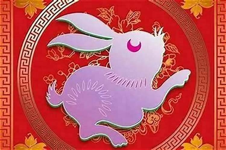 属兔本命年可以生孩子吗女？