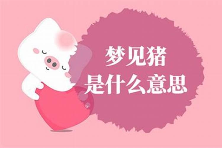 梦到猪什么意思解梦女人？
