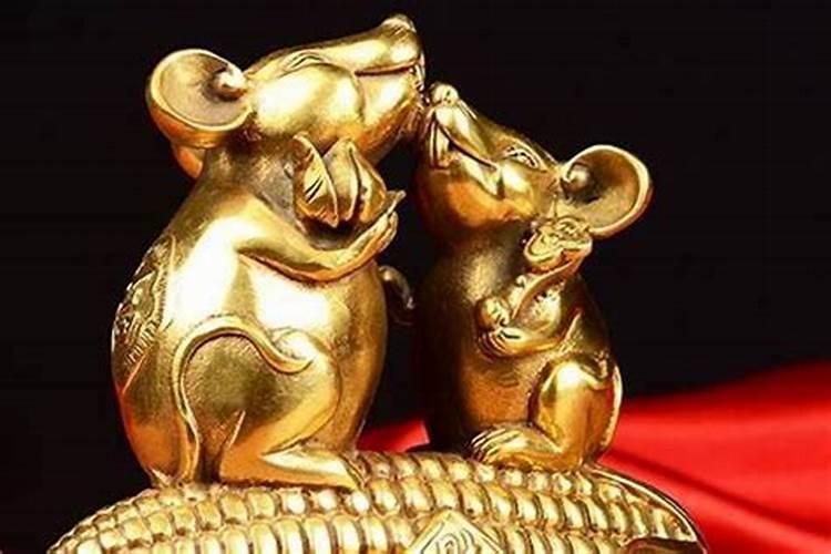 九六年的鼠今年的运势如何？