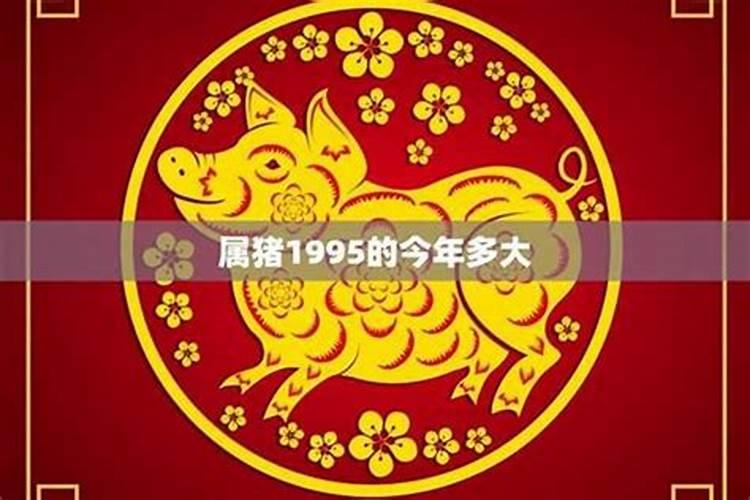 1995属猪女2026年运势