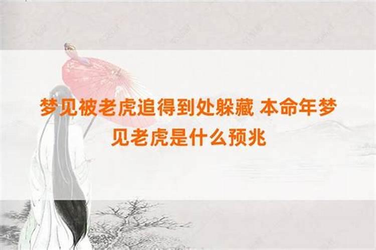 本命年梦见修厕所啥意思？