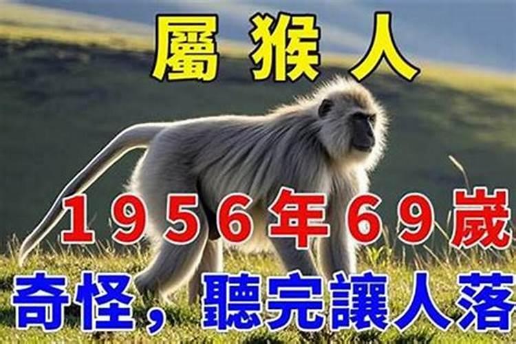 1956属猴人2026年运势运程