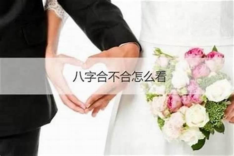 结婚八字怎么看合不合婚？