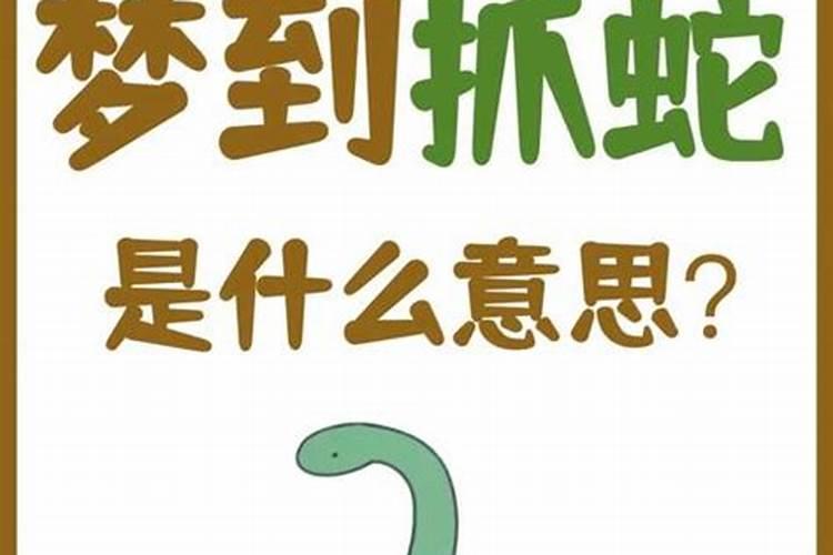 梦见蟒蛇是什么预兆周公解梦？