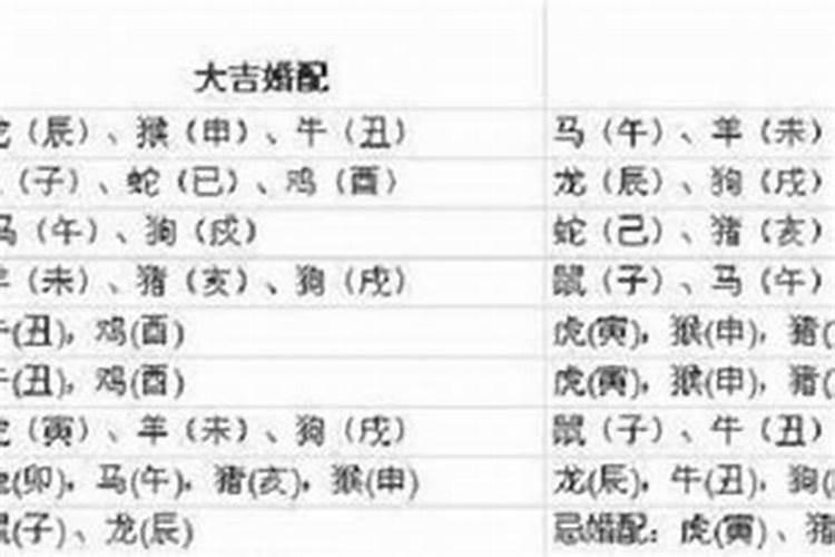85年属牛人最佳婚配