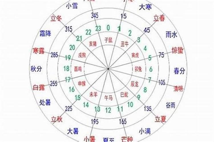 夫妻星应该落在天干还是地支？