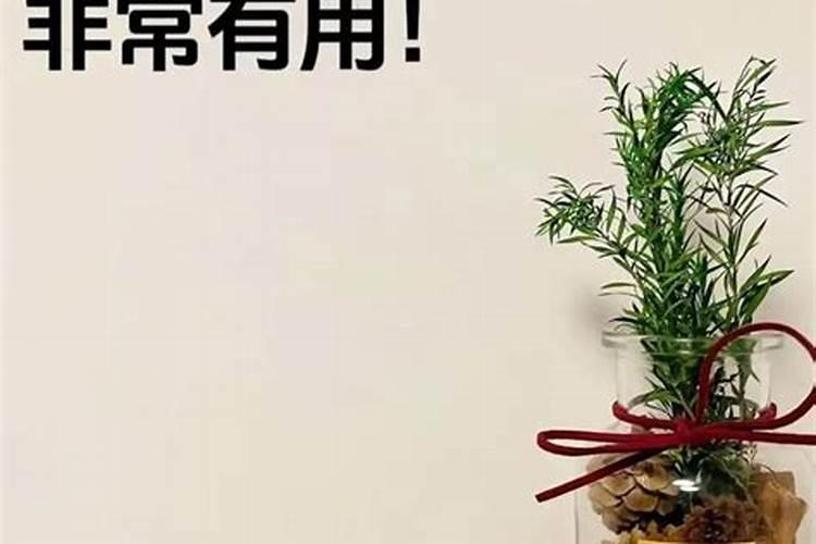 怎么才能发财致富？