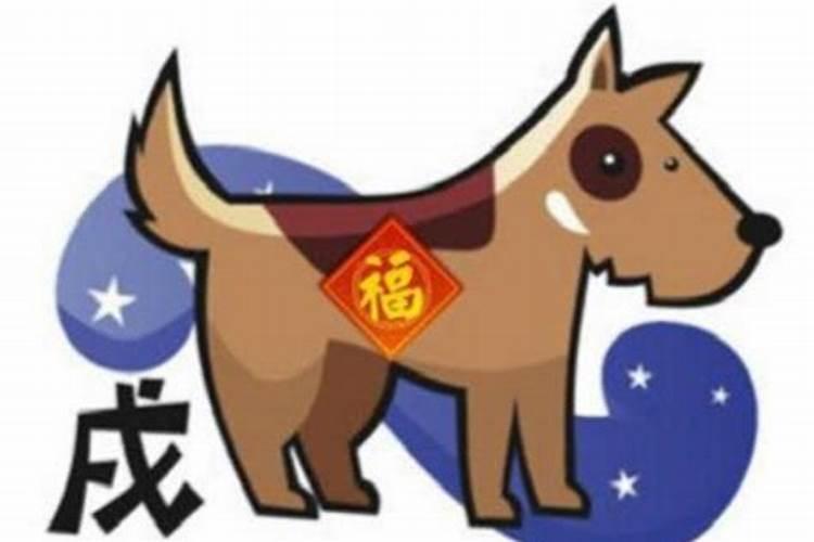 女鼠男狗婚姻八字相配吗？