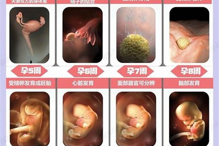 怀孕30天堕胎要超度吗？