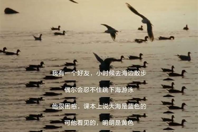 梦见海水是黄的还有很多的人？