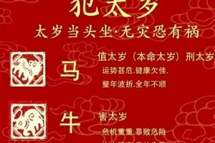 犯太岁的生肖冬至能转运吗？