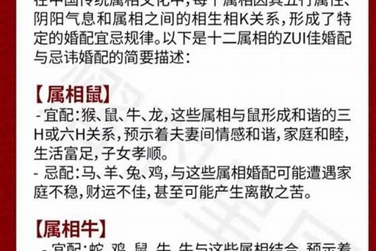 男虎女属属相婚配好吗？