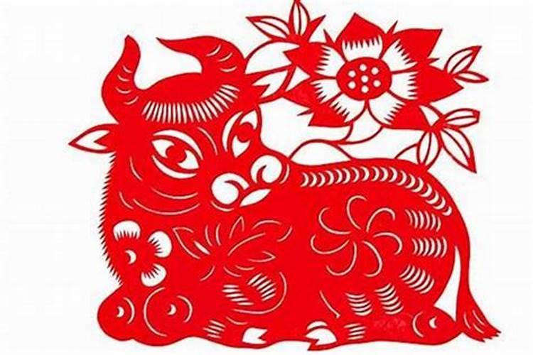 属牛十月初一出生的人命运