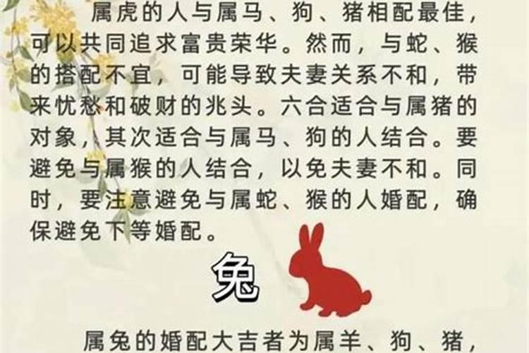 属相婚配男鸡女虎好吗？