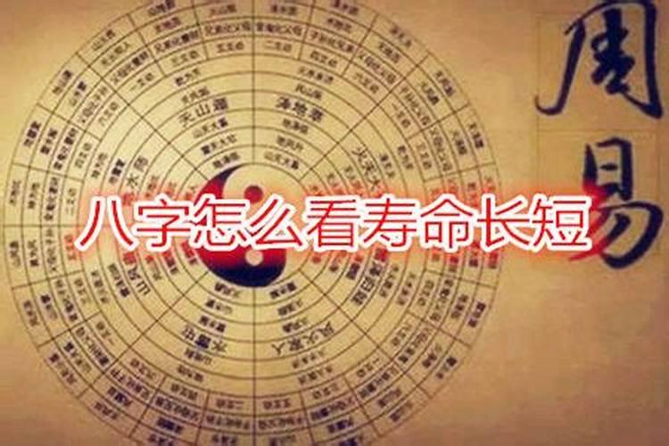 算命八字能看出什么？
