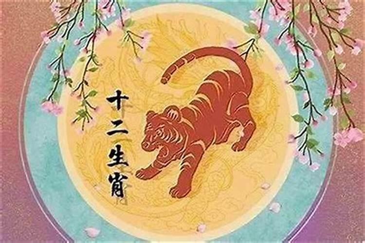 属虎49岁本命年的大忌是