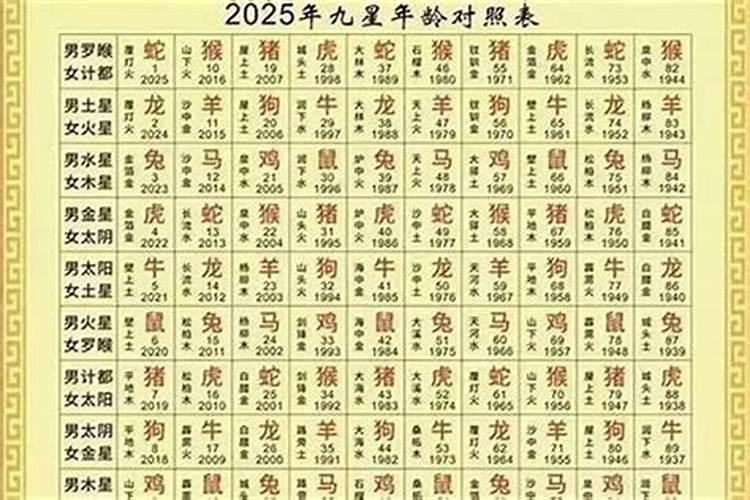 94农历11月16出生运势