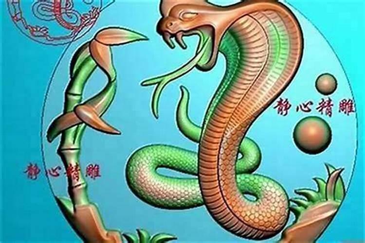 属蛇的嘿属猴的合婚吗？