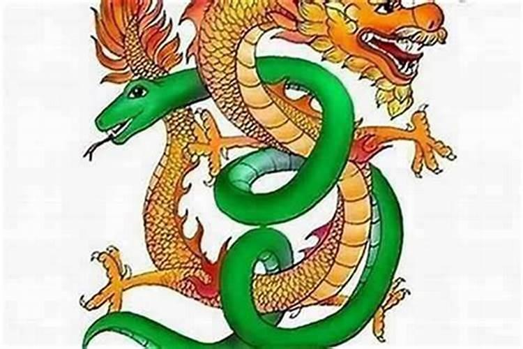 属相婚配蛇和龙配吗？