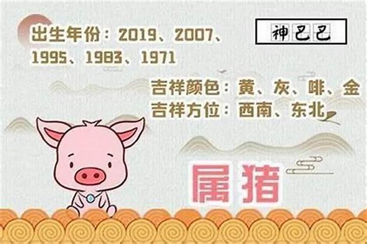 属猪宝宝运程如何？