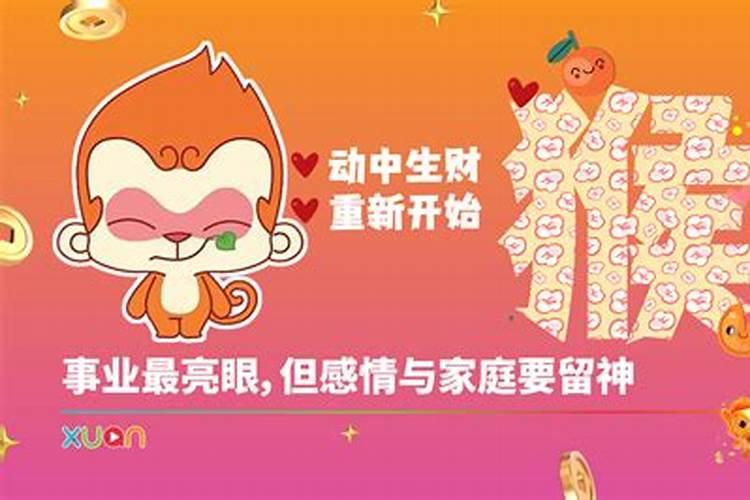 属猴运程不好怎么办？