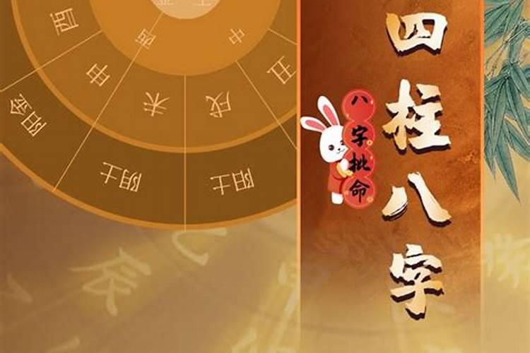何洪柳八字命运精批