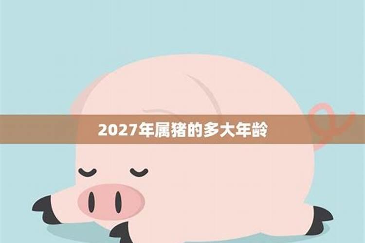 属猪肖在2027年运势