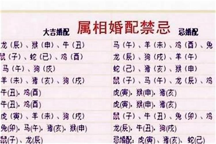 属虎与属兔的属相婚配好吗？