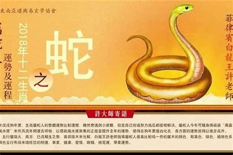 属蛇男今年的运势