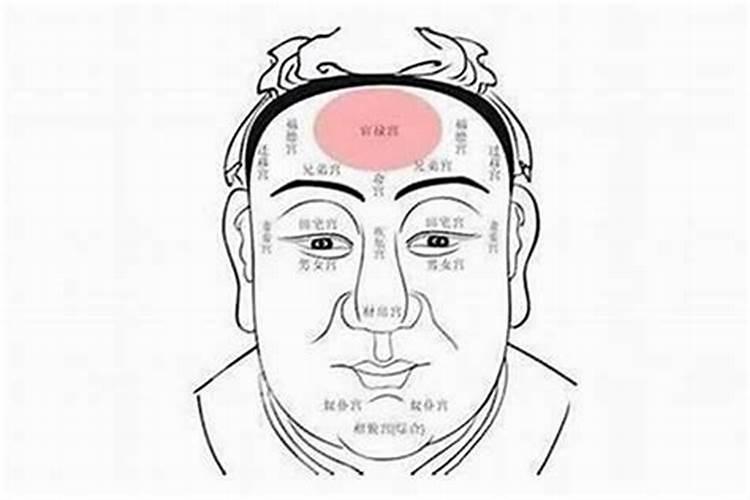 童子命脸型什么形状的？
