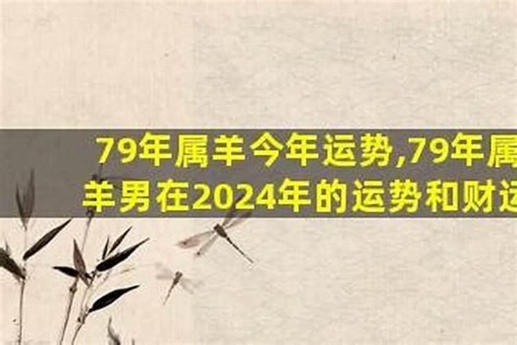 79年羊今年的运势