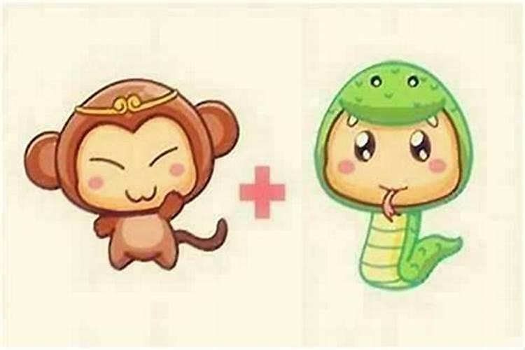 属猴的和属蛇合婚吗？