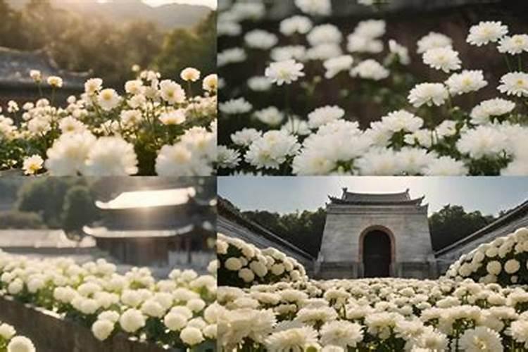 清明节网上祭奠献花