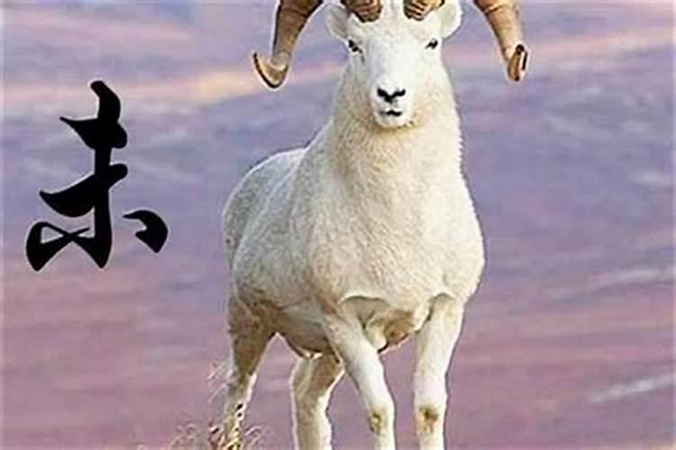 1991年8月属羊一生运势