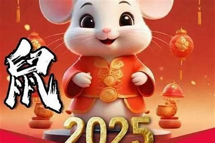 属鼠2027年运势及财运方