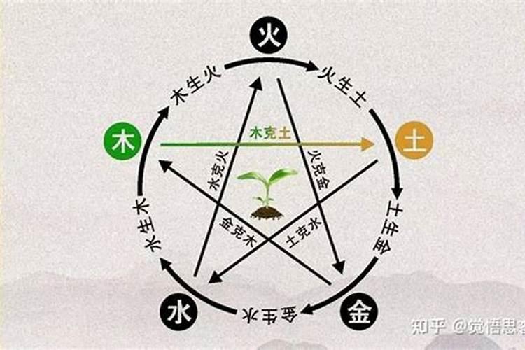 木和土什么五行婚配表？