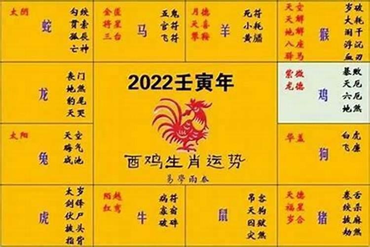 冬至后属蛇运势