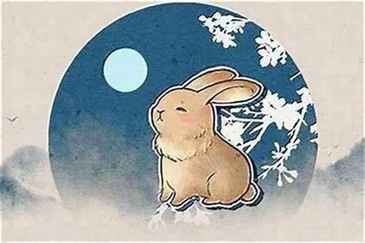 属兔几月出生最好？
